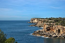 DSC04067 -1_t.jpg